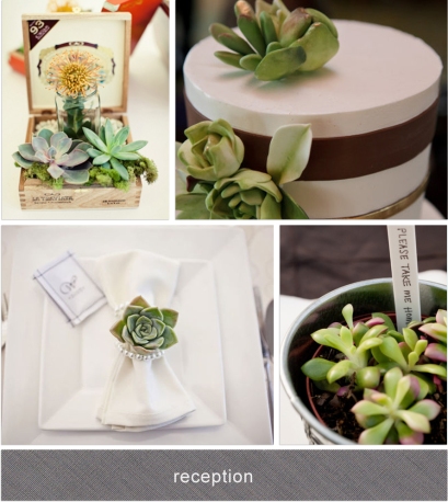succulents centrepiece cake place setting favor